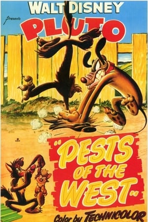 Pests of the West