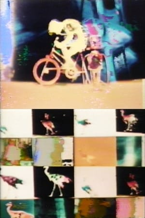 生物的サイクル No.3