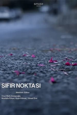 Sıfır Noktası
