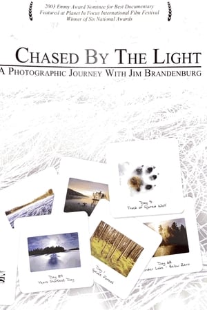 Chased by the Light
