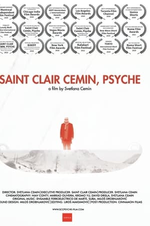 Saint Clair Cemin, Psyche