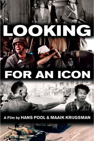 Looking for an Icon