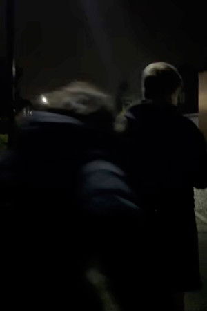 Alive in the Dark