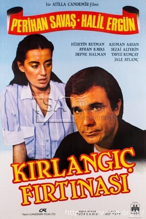 Kırlangıç Fırtınası