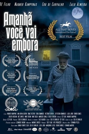 Amanhã você vai embora