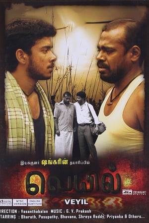 வெயில்