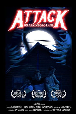 Attack on Arkinboro Lane