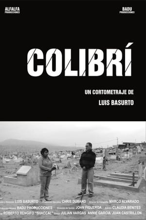 Colibrí