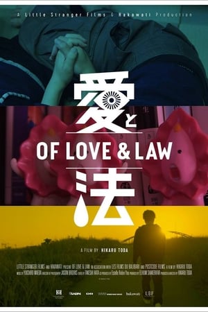 爱与法