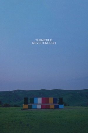 TURNSTILE: NEVER ENOUGH