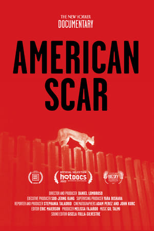 American Scar
