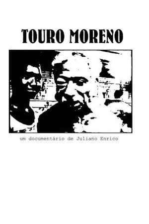Touro Moreno