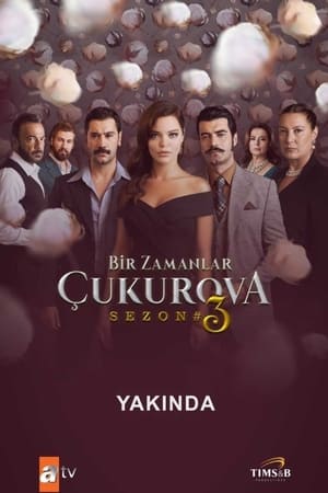 Bir Zamanlar Çukurova第3季