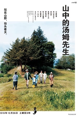 山中的汤姆先生