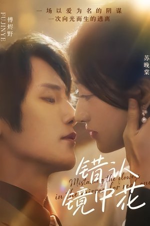 错认镜中花