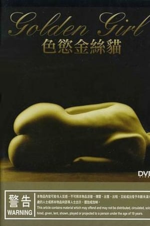 金丝猫