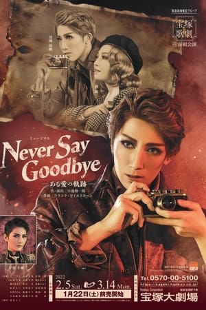 Never Say Goodbye