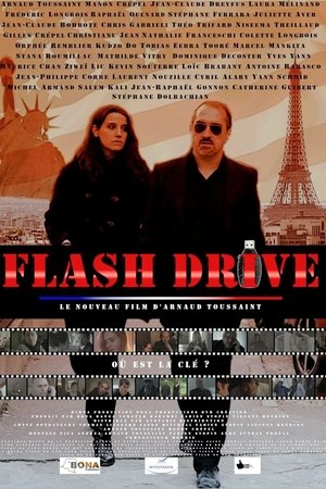 Flash Drive