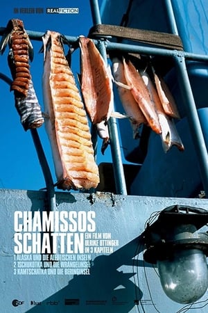Chamissos Schatten