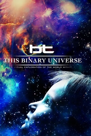 BT - This Binary Universe