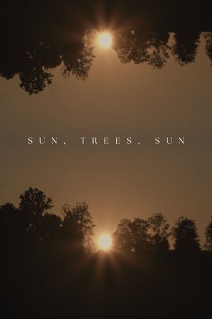 Sun, Trees, Sun