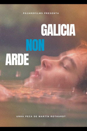 GALICIA NON ARDE
