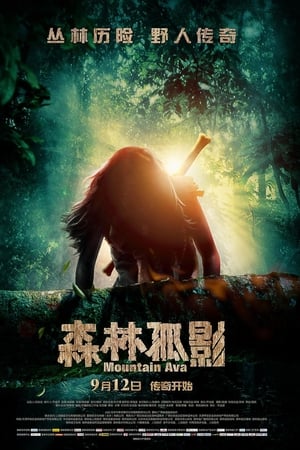 森林孤影