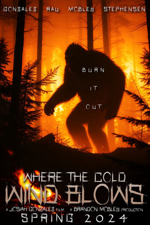 Where the Cold Wind Blows