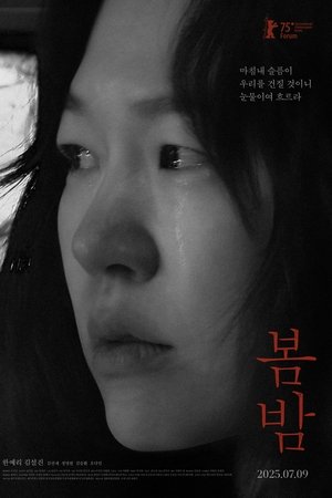봄밤