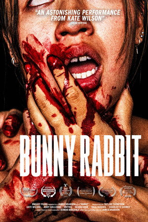 Bunny Rabbit