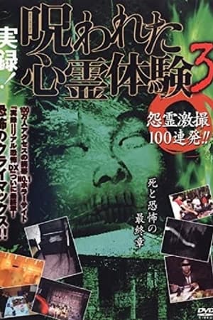 実録！呪われた心霊体験３ 怨霊激撮100連発!!