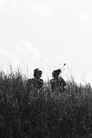 The Adventures of the Black Girl in Her Search for Mabel Dove