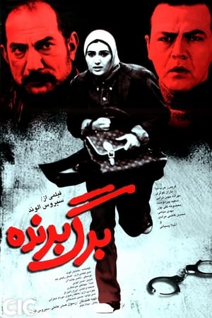 برگ برنده