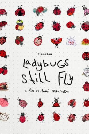 Ladybugs Still Fly