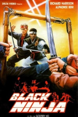 忍者太保之武士行