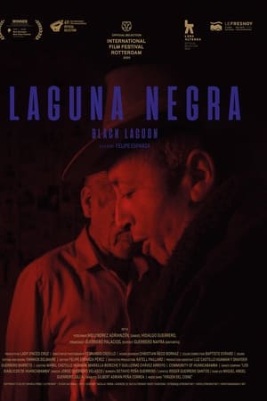 Laguna negra