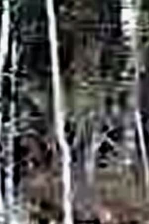 Terroir