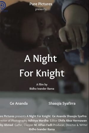 A Night For Knight