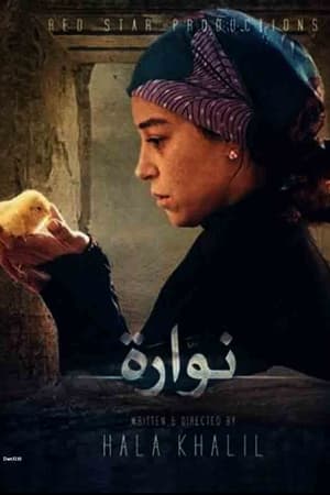 نوارة