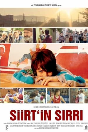 Siirt'in Sirri