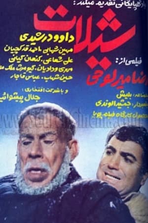 شیلات