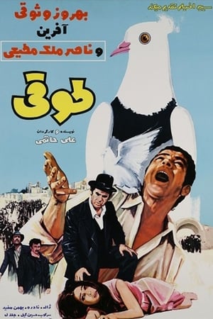 طوقی
