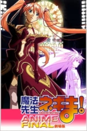 剧场版 魔法老师！ ANIME FINAL