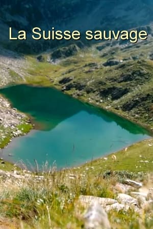 Wilde Schweiz