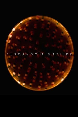 Buscando a Matilde
