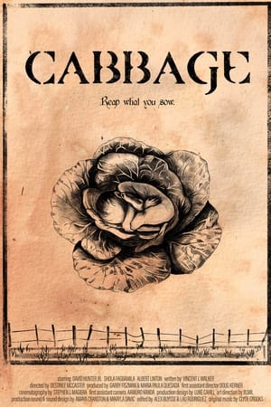 Cabbage