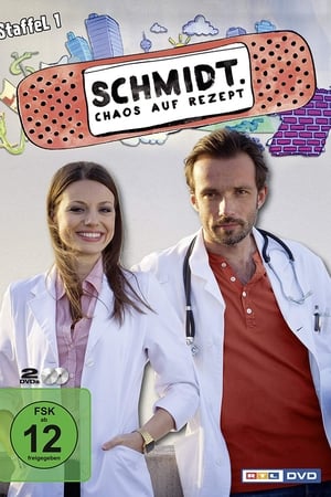 Schmidt – Chaos auf Rezept