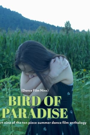 Bird of Paradise - Dance Film Nine