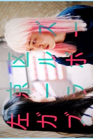 左京区ガールズブラボー