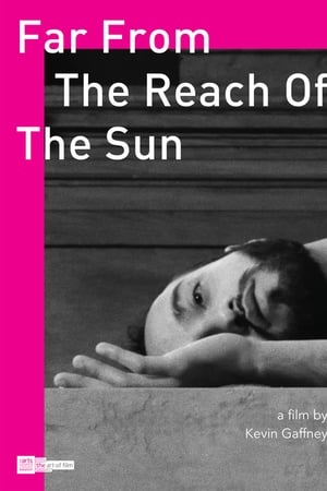 Far From The Reach of the Sun